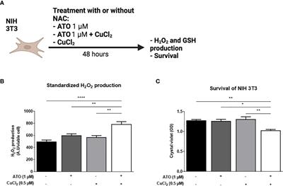 Optimal combination of arsenic trioxide and copper ions to prevent autoimmunity in a murine HOCl-induced model of systemic sclerosis